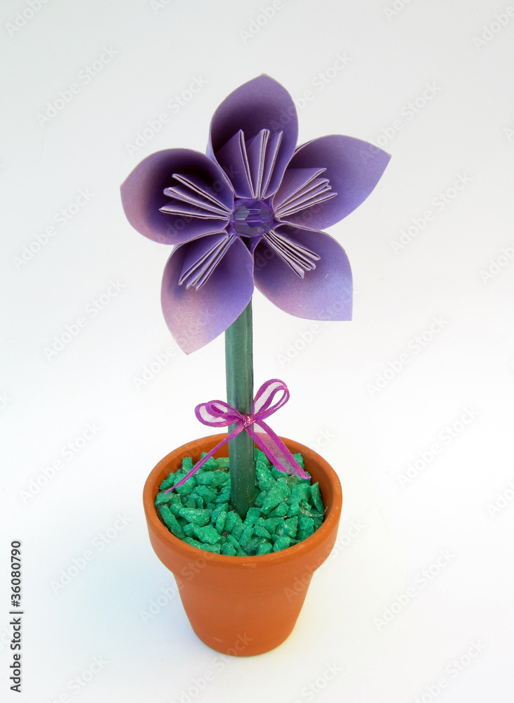 flor 5 p flor 5 p