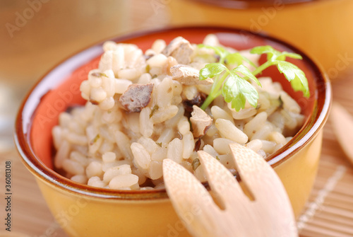 risotto ai funghi porcini - nove