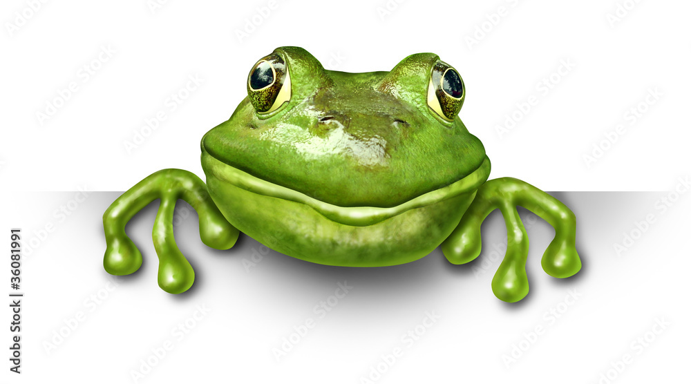 Obraz premium Frog holding a blank sign