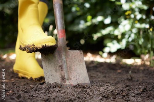 Person digging in garden photo