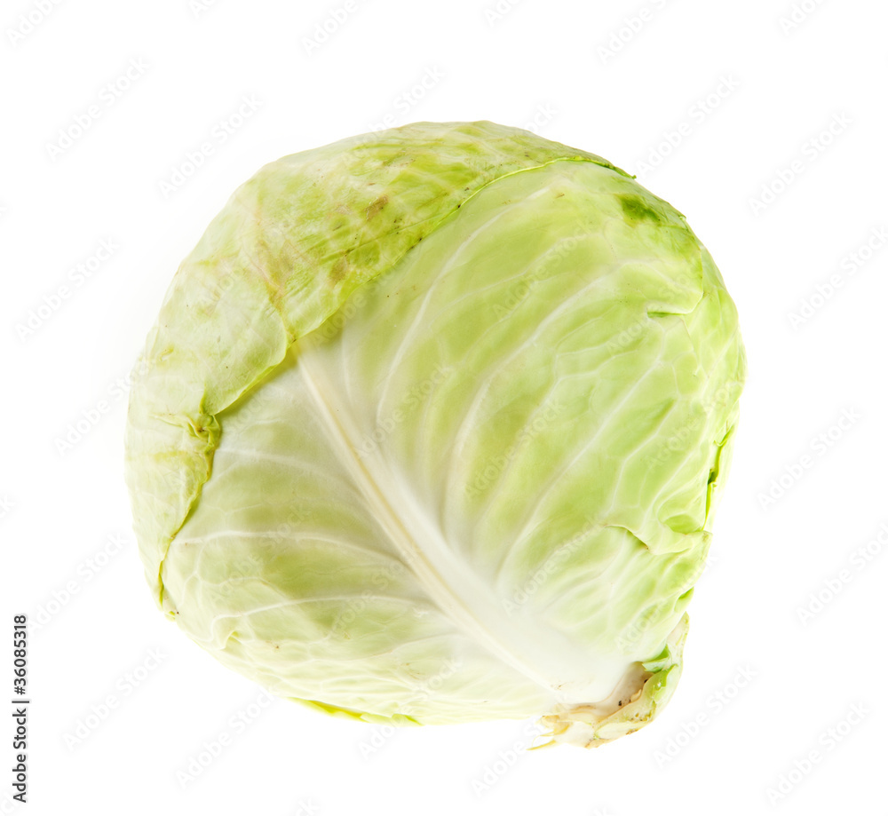Fototapeta premium Cabbage