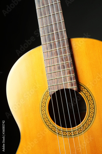 Acoustic Guitar musical instrument