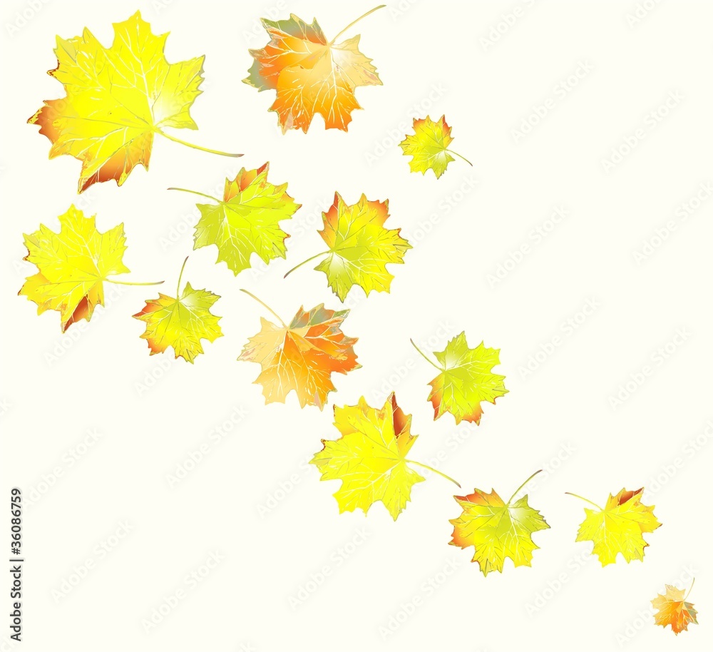Greeting card with maple leaves. Greeting card with maple leaves.