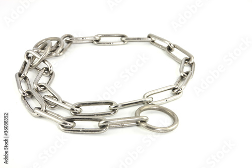 Steel dog collar