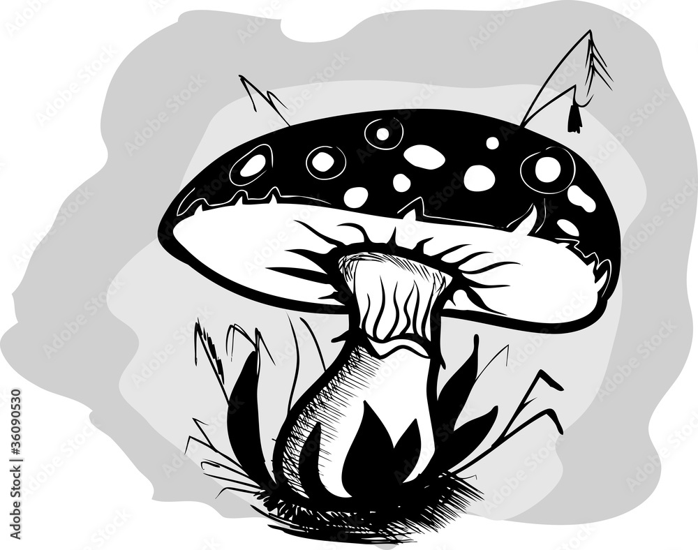 Mushroom Mushroom