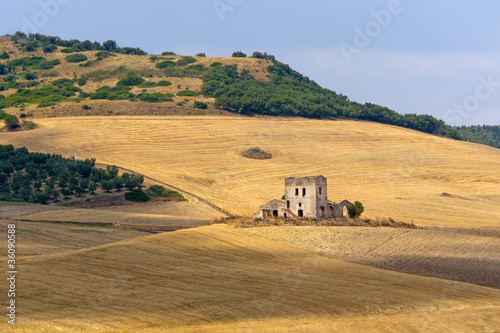 Between Puglia and Basilicata (Italy): Country landscape photo