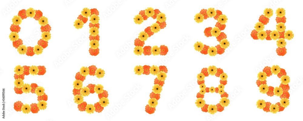 Set of number created by daisy flowers. Set of number created by daisy flowers.