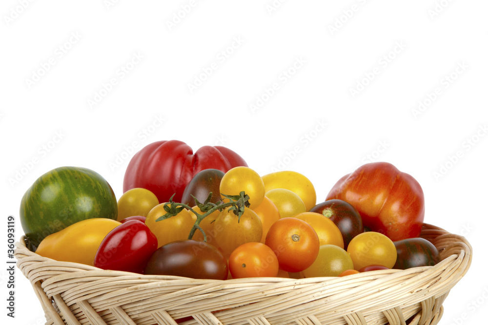 Viele Bio-Tomaten im Korb / Many organic tomatoes in the basket Viele Bio-Tomaten im Korb / Many organic tomatoes in the basket