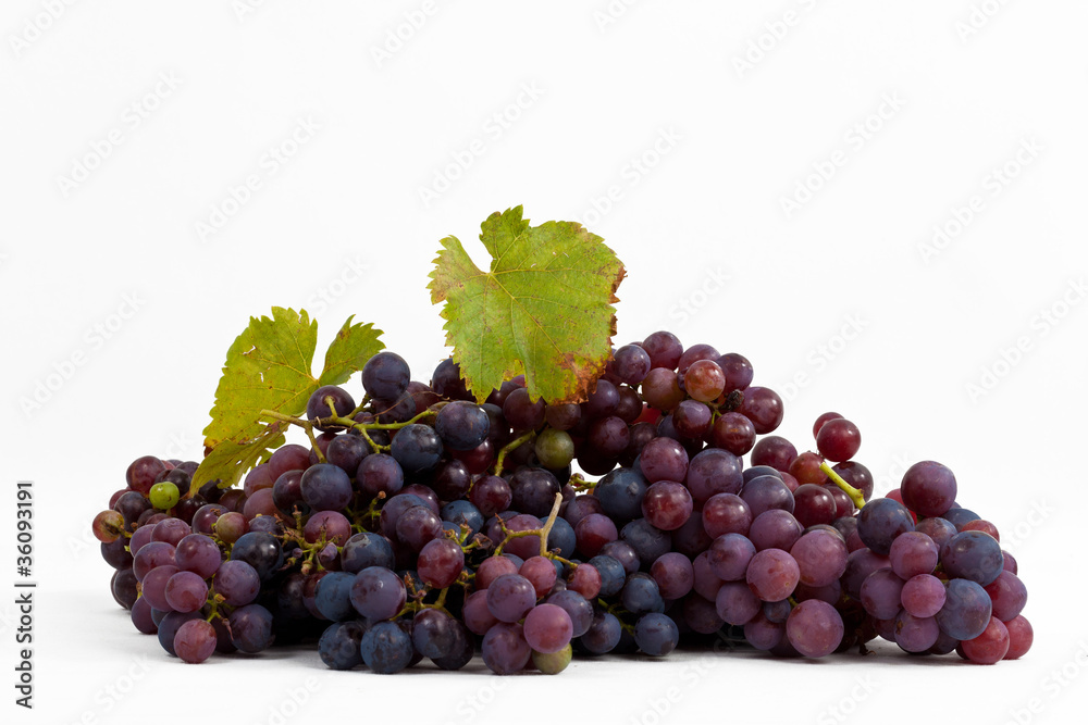 Fototapeta premium rote Weintrauben