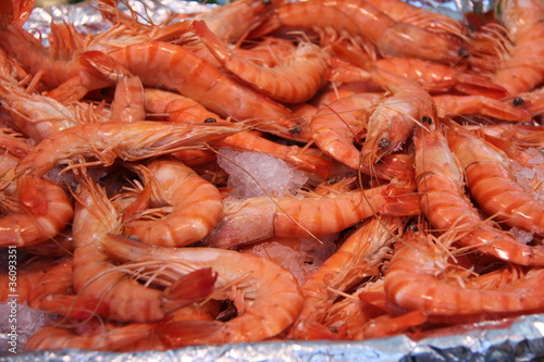 Gambas