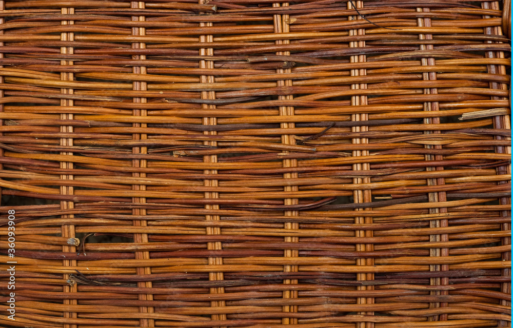 Willow texture Willow texture