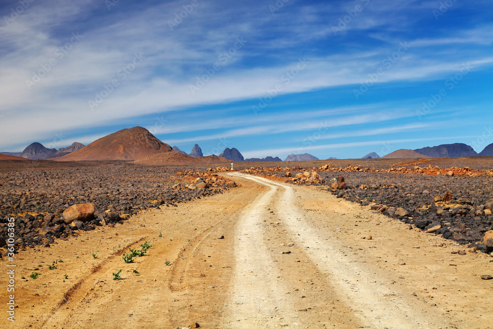 Road in Sahara Desert
