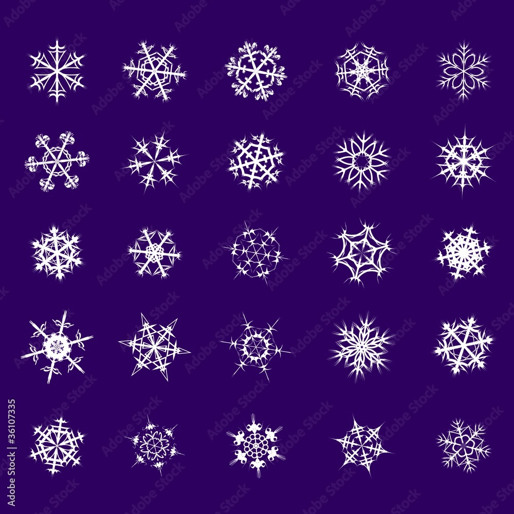 Set of different snowflakes crystal decoration vector Set of different snowflakes crystal decoration vector