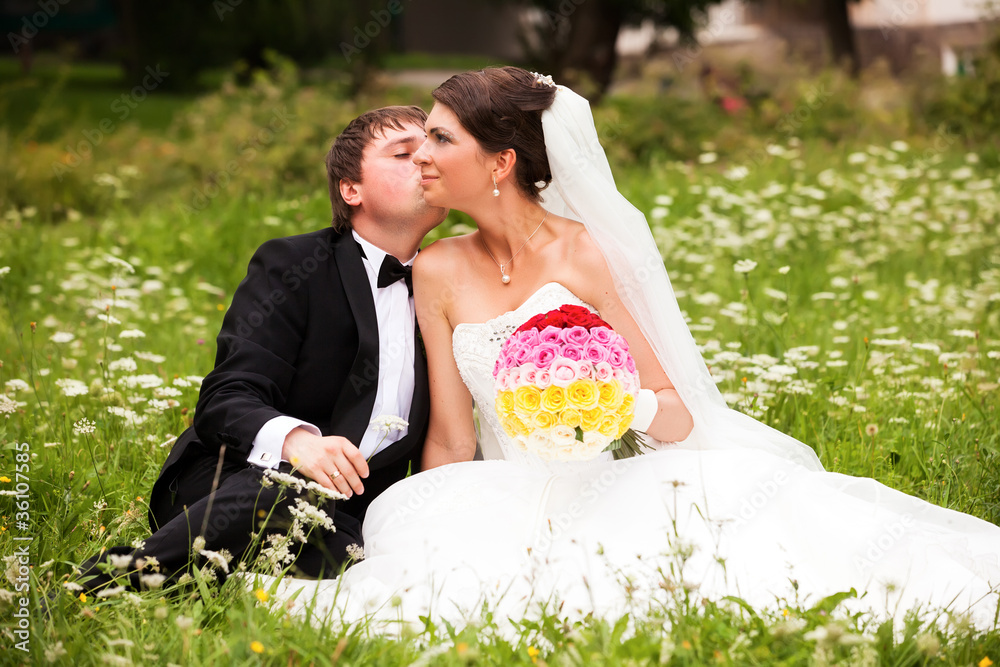 Portrait of happy newlyweds on grass in park Portrait of happy newlyweds on grass in park