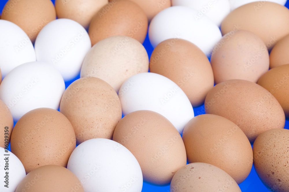 Eggs Eggs