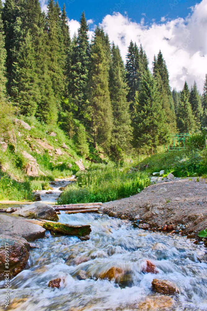 Obraz premium river in mountain