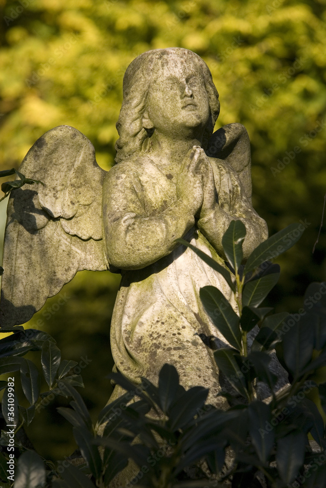 Obraz premium Grabengel