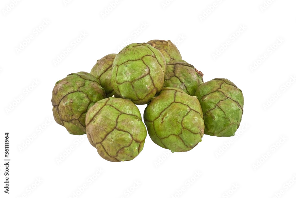 Fototapeta premium green cones