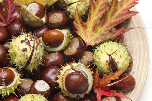 chestnuts and autumnal leaves