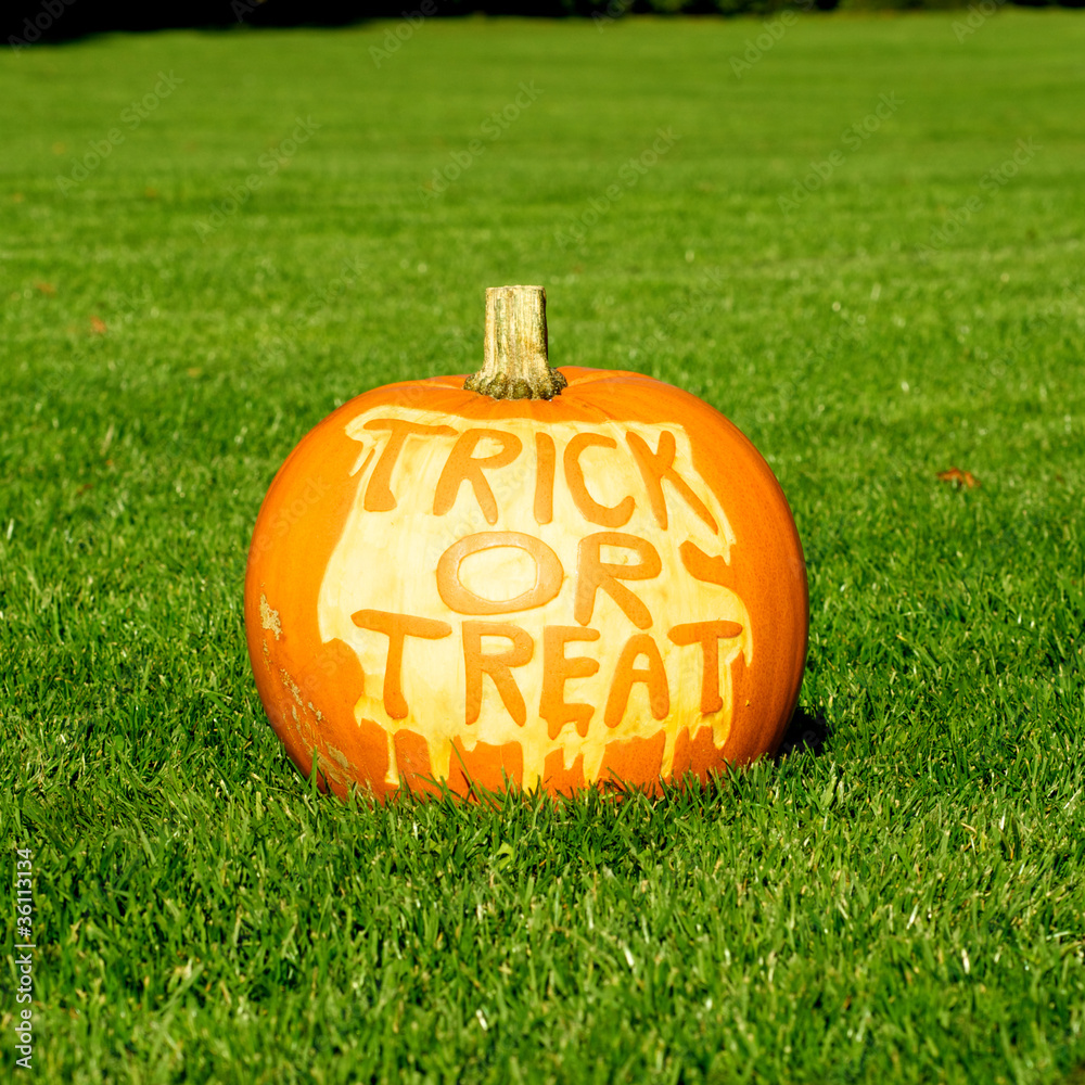 Fototapeta premium Halloween pumpkin