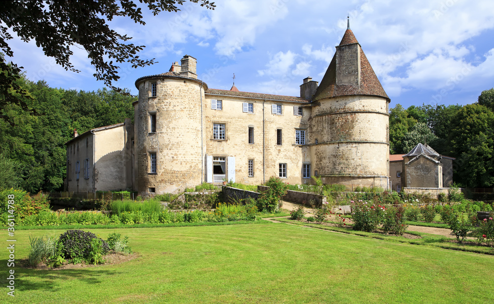 Chateau des Martinanches in Saint Dier d'Auvergne