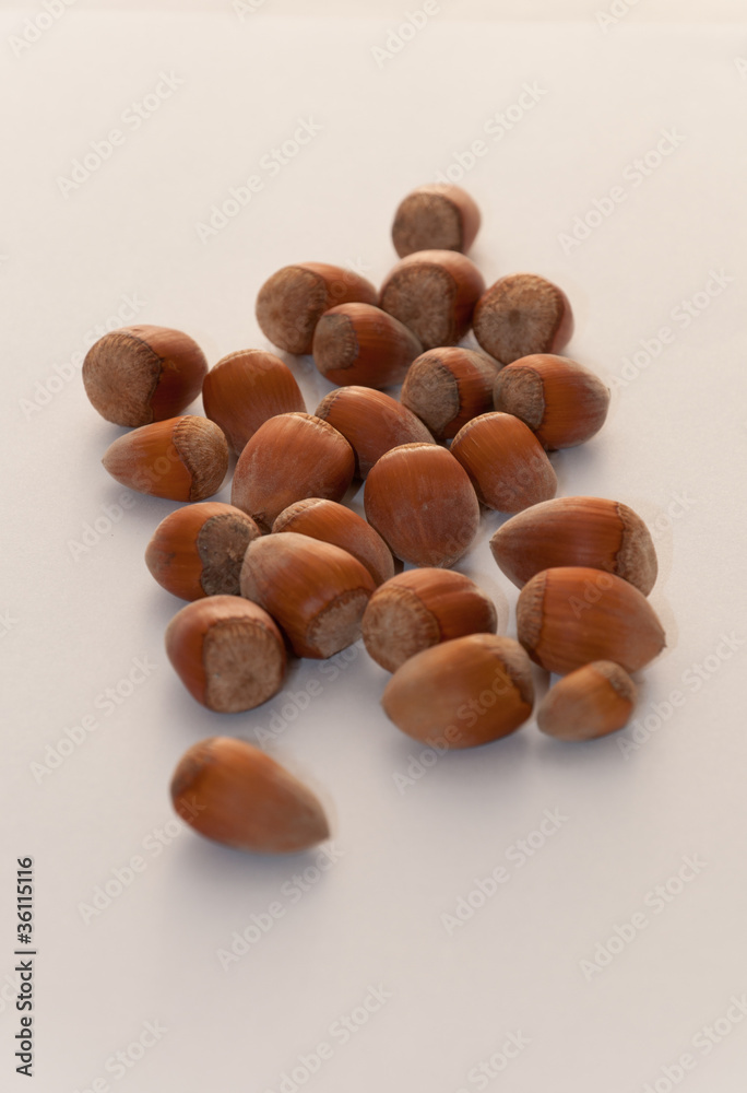 hazelnut hazelnut
