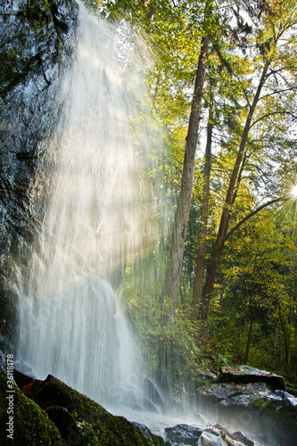 waterfall in the forest