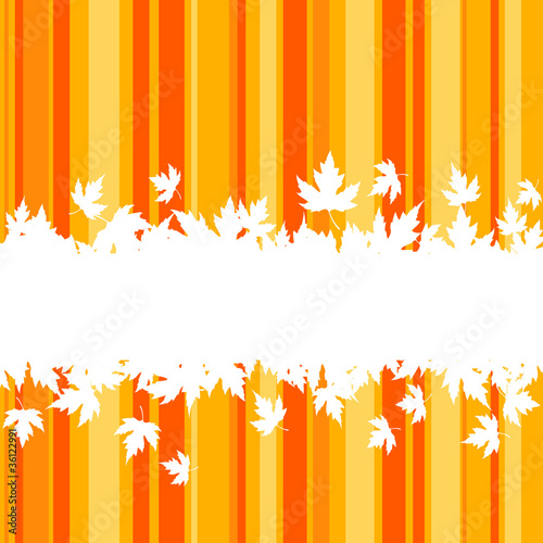 Autumn leaves background