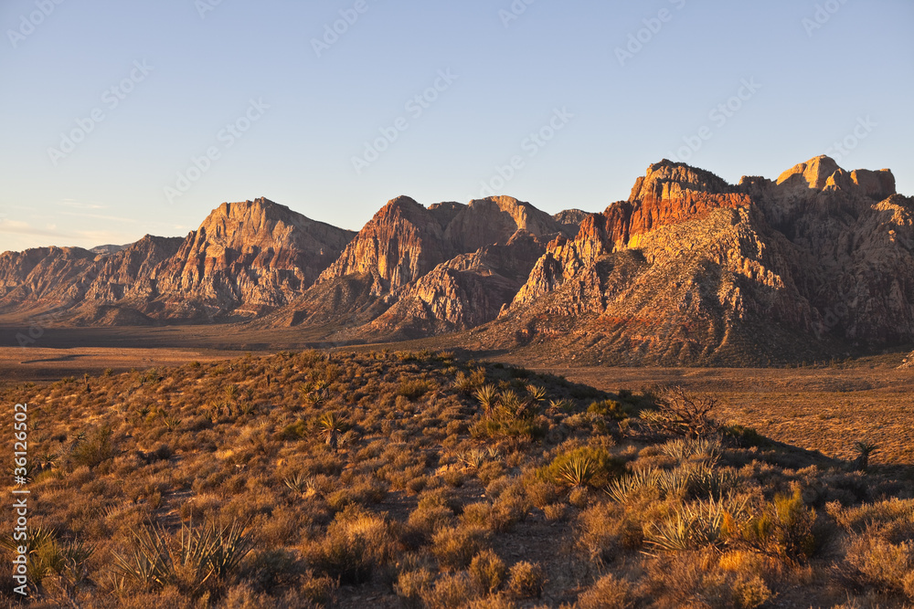 Obraz premium Dawn light at Red Rock National Conservation Area, Nevada