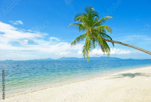 Fototapeta Naklejka Na Ścianę i Meble -  Beautiful beach with palm tree and blue sky