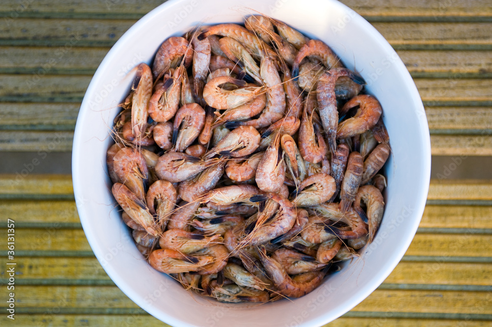 shrimps shrimps