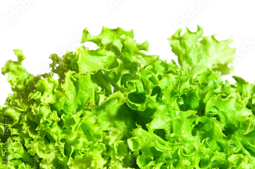 salad on white