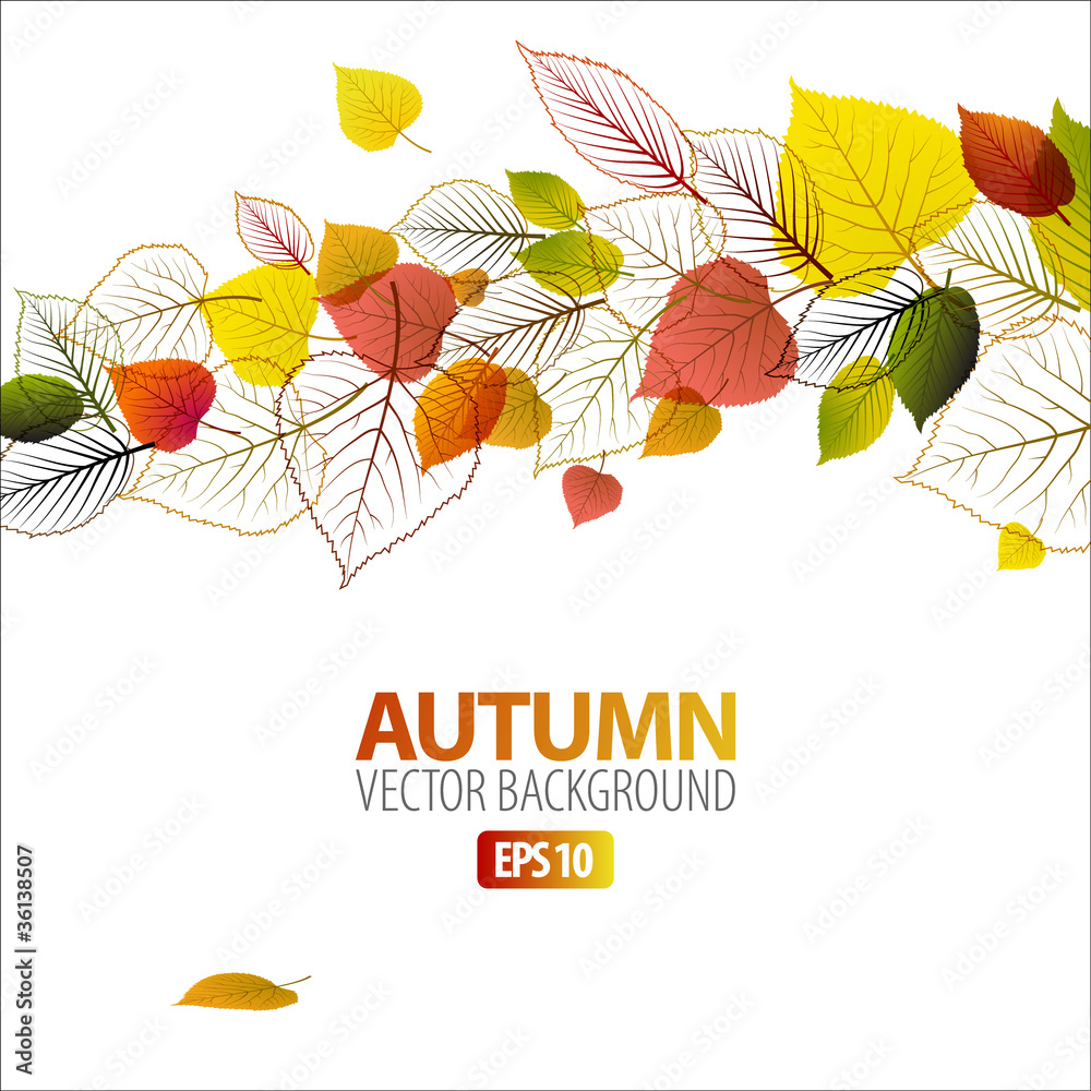 Vector Autumn abstract floral background