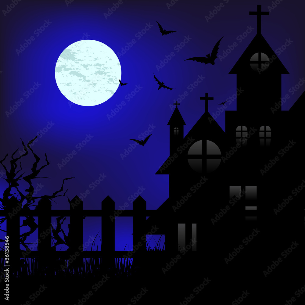 Fototapeta premium Moon night