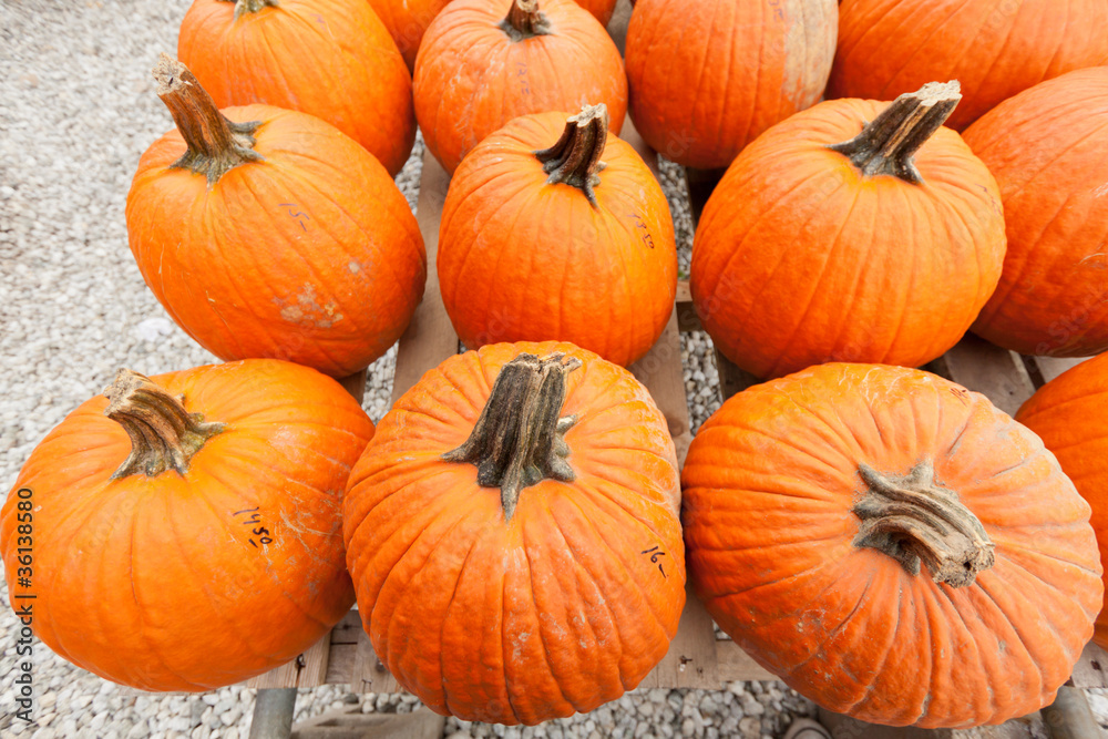 Pumpkins at the farmer market. Pumpkins at the farmer market.
