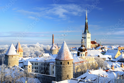 Tallinn city. Estonia. Snow on trees in winter
