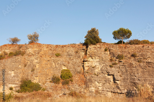 Hill stone with trees and wild vegetation over