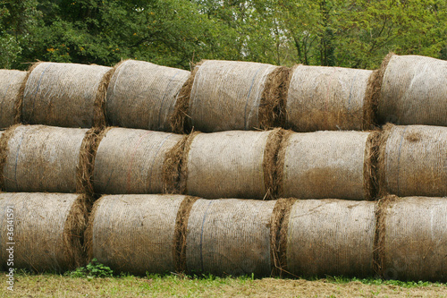 Fotografie meules de foin