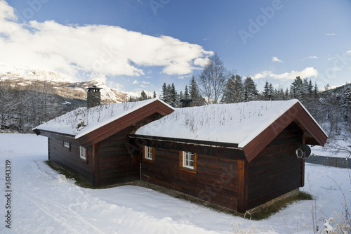 Snowy Cottage #36143319