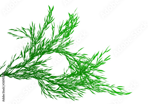 green