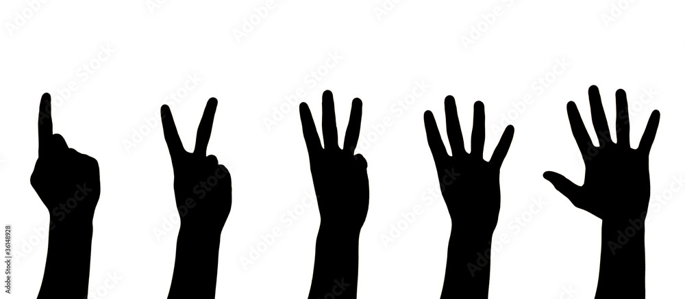 hands hands