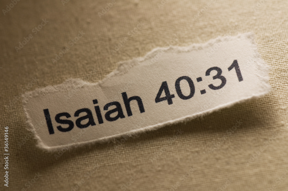 Isaiah 40:31 Isaiah 40:31