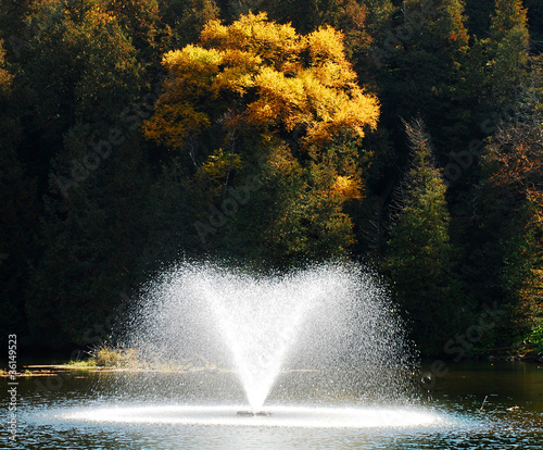 Belfountain Conservation Park - Ontario Parks