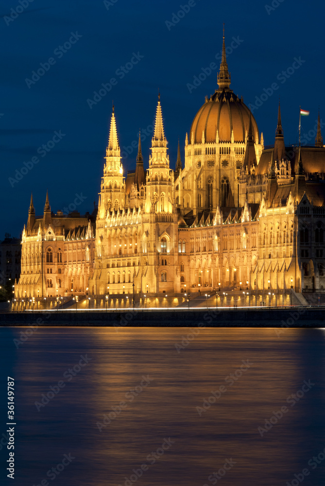 Obraz premium Hungarian parliament at night