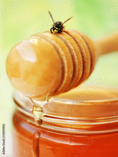 honey drizzler with bee
