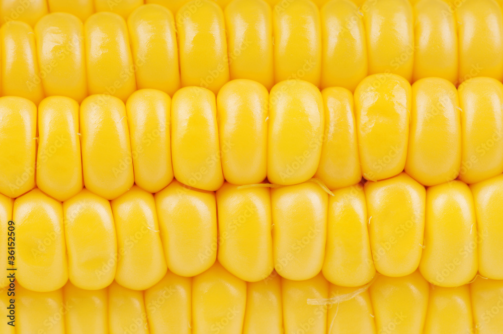 Fresh corn Fresh corn
