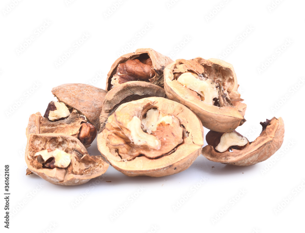walnut group isolated walnut group isolated