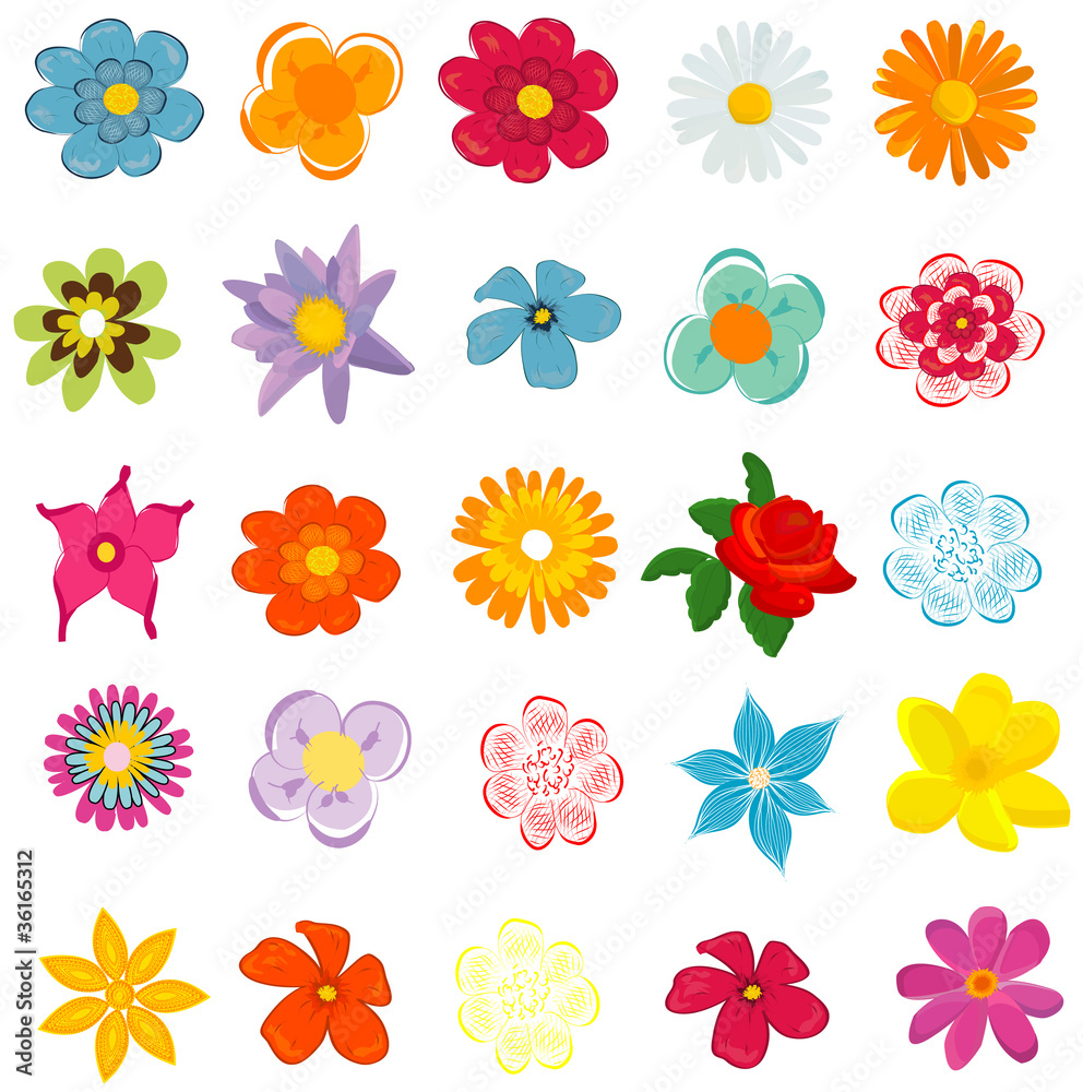 Obraz premium colorful spring flowers vector illustration
