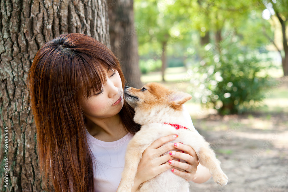 attractive asian woman with dog in the park attractive asian woman with dog in the park