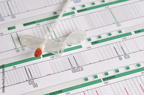 Bilde på lerret DNA Profil - genetischer Fingerabdruck